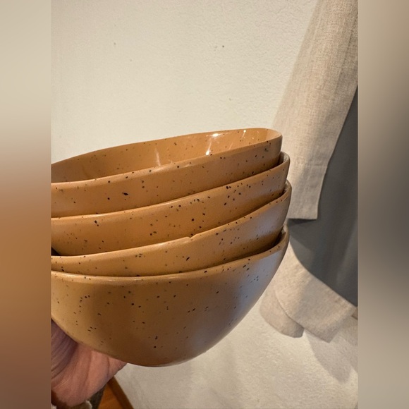 Fortressa Sandia Dashiell Cereal Bowl set of 4 - Picture 3 of 5